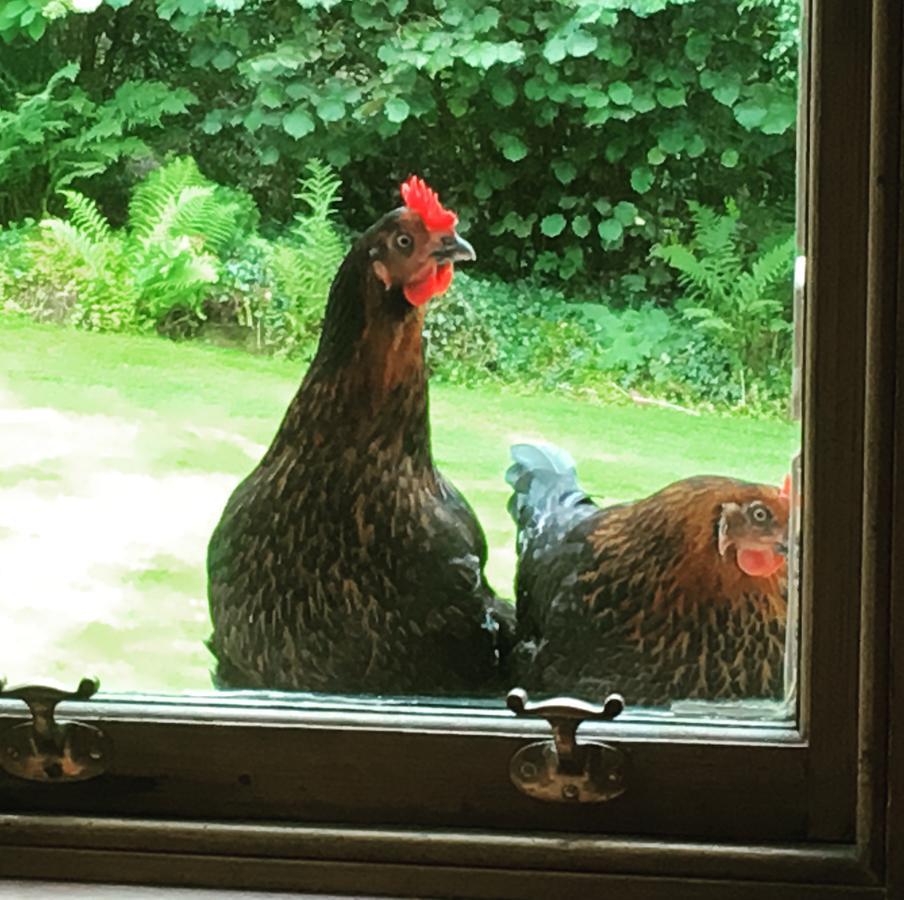 ホテル ウッドクロフト ハウス パース エクステリア 写真